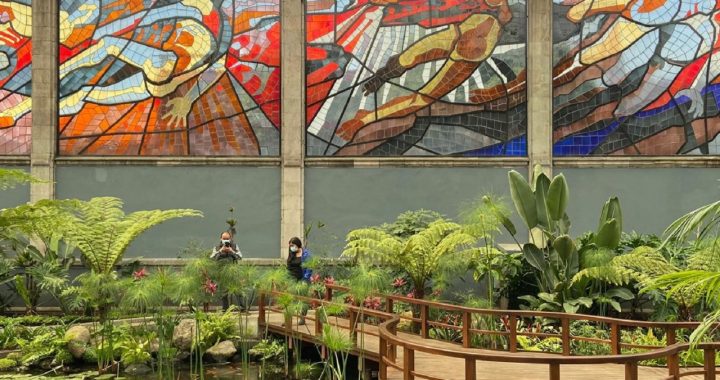 INVITA GEM A DISFRUTAR ESTE FIN DE SEMANA DE LA CULTURA Y EL DEPORTE EN UN CLIC