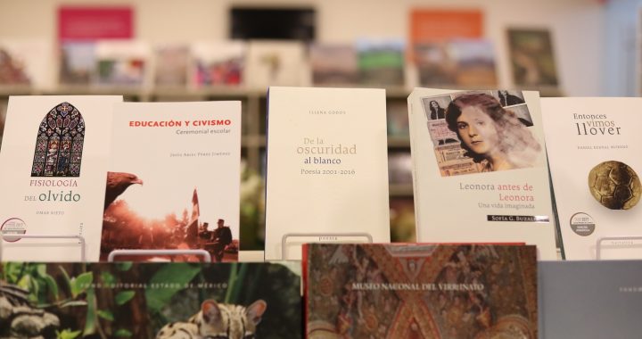 LOGRAN GRAN CONVOCATORIA CERTÁMENES “LAURA MÉNDEZ DE CUENCA” Y “LITERATURA INFANTIL Y JUVENIL” 2020