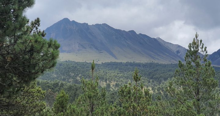 ES SECRETARÍA DEL CAMPO LA ENCARGADA DE LOS ASUNTOS AGROPECUARIOS Y FORESTALES DEL EDOMÉX