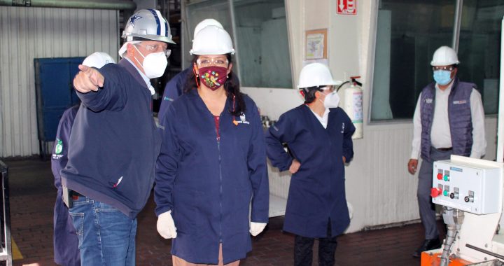 REALIZA GEM 40 BOLSAS DE TRABAJO VIRTUALES DURANTE LA EMERGENCIA SANITARIA POR COVID-19