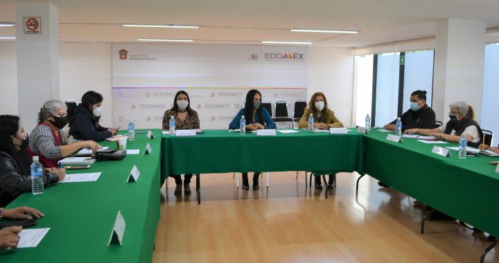 TRABAJA SECRETARÍA DE LA MUJER CON ORGANIZACIONES FEMINISTAS PARA PREVENIR Y ATENDER VIOLENCIA DE GÉNERO