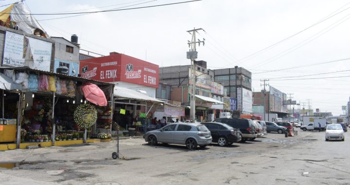 IMPULSA GEM Y CENTRALES DE ABASTO COMERCIALIZACIÓN DE PRODUCTOS EN TEMPORADA DECEMBRINA