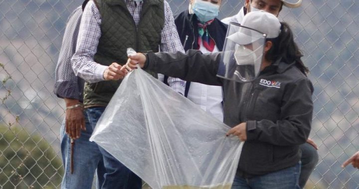 TRABAJA EDOMÉX PARA QUE EL CAMPO MEXIQUENSE SEA MÁS PRODUCTIVO: ALFREDO DEL MAZO