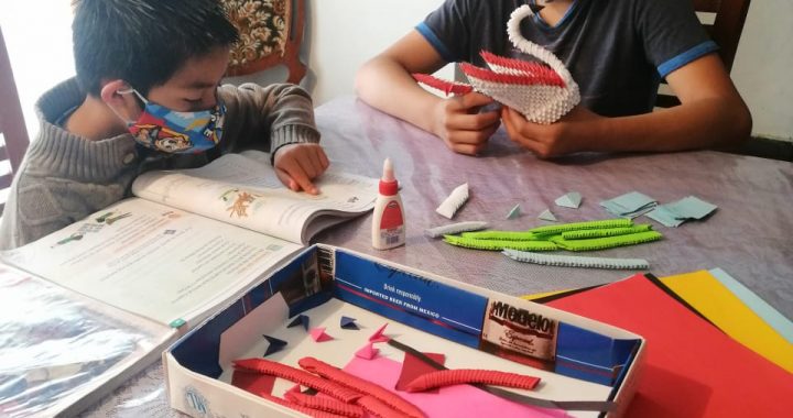 RECOMIENDA SALUD EDOMÉX REALIZAR ACTIVIDADES RECREATIVAS PARA PREVENIR DEPRESIÓN