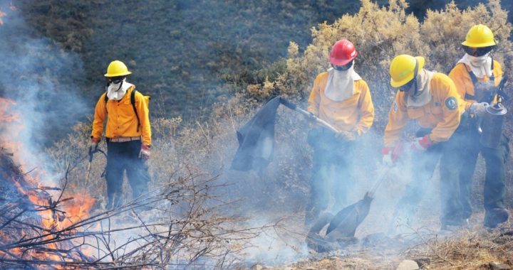 DISMINUYEN INCENDIOS FORESTALES POR SEGUNDO AÑO CONSECUTIVO EN ÁREAS NATURALES PROTEGIDAS DEL EDOMÉX