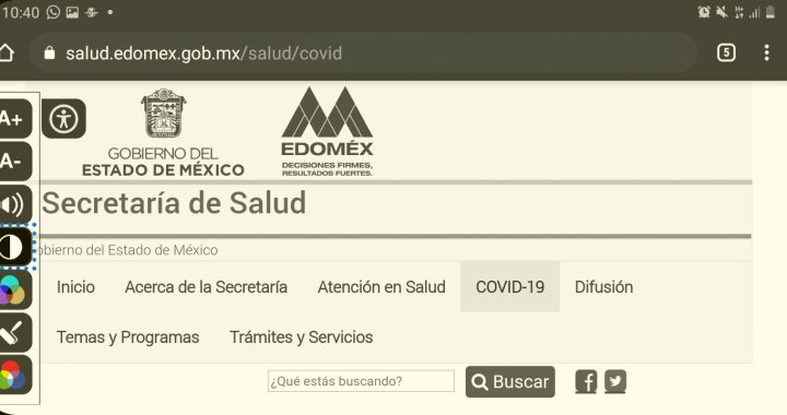 IMPLEMENTA SECRETARÍA DE SALUD PÁGINA DE INTERNET ACCESIBLE PARA PERSONAS CON DISCAPACIDAD