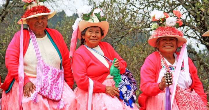 IMPULSA GEM IDENTIDAD DE LOS PUEBLOS INDÍGENAS A TRAVÉS DE LA PRESERVACIÓN DE SUS LENGUAS