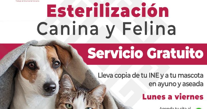 GOBIERNO DE COACALCO MANTIENE ACCIONES PARA EL BIENESTAR ANIMAL
