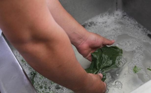 NUTRIÓLOGOS DEL IMSS INFORMAN IMPORTANCIA DE HIGIENE EN ALIMENTOS DE PACIENTES COVID-19