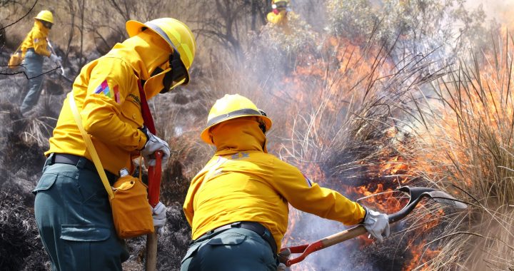 SOFOCAN 74 INCENDIOS FORESTALES EN EDOMÉX EN LO QUE VA DEL AÑO