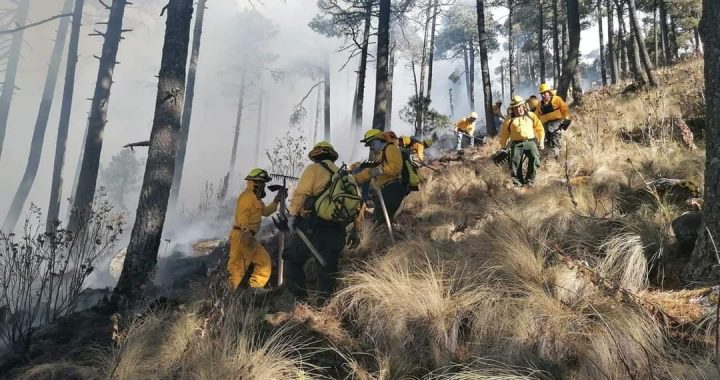 CONTROLAN COMBATIENTES DE PROBOSQUE INCENDIO FORESTAL EN EL CERRO DE JOCOTITLÁN
