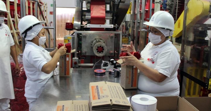 DESTACAN QUE ES LA MEDIACIÓN UNA ALTERNATIVA PARA LA SOLUCIÓN DE CONFLICTOS LABORALES