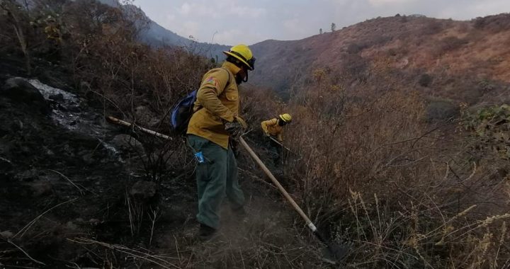 LIQUIDAN EN UNA ACCIÓN CONJUNTA INCENDIO FORESTAL EN PARQUE ESTATAL SIERRA DE GUADALUPE