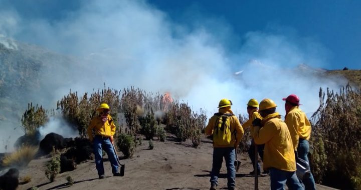 ATIENDEN 150 INCENDIOS FORESTALES DURANTE PERIODO VACACIONAL DE SEMANA SANTA 2021