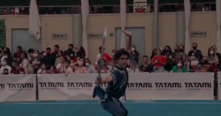 REGRESAN MEXIQUENSES A LA ACTIVIDAD DEPORTIVA EN COPA NACIONAL DE WUSHU