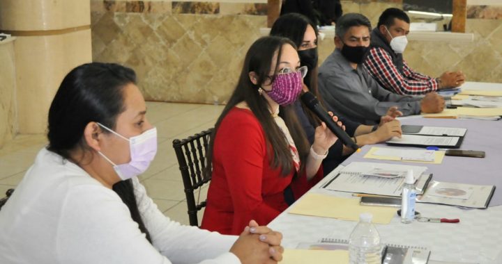 TRABAJAN GEM Y ORGANIZACIONES DE LA SOCIEDAD CIVIL PARA GARANTIZAR LOS DERECHOS DE LAS MEXIQUENSES