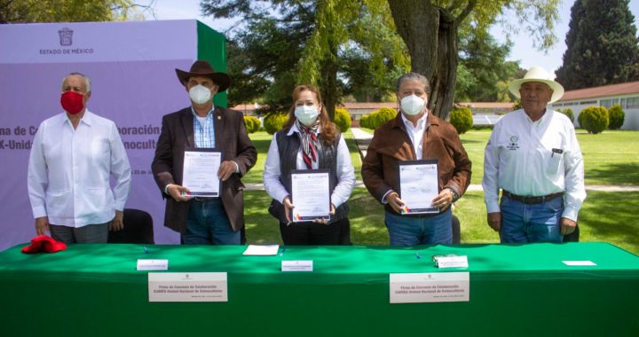 IMPULSA GEM RECUPERACIÓN ECONÓMICA DE OVINOCULTORES MEXIQUENSES