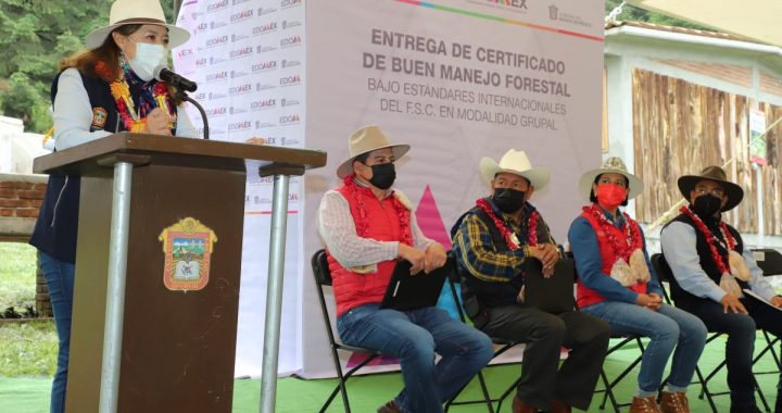 ENTREGAN GEM Y CONSEJO DE ADMINISTRACIÓN FORESTAL PRIMER CERTIFICADO DE BUEN MANEJO SUSTENTABLE A SIETE PREDIOS DE LA REGIÓN MARIPOSA MONARCA