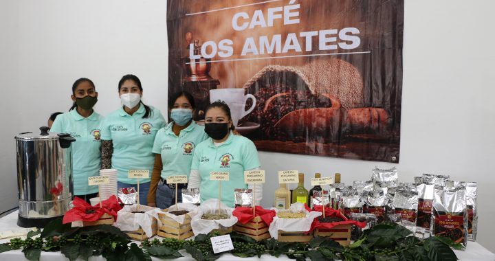 CALIDAD DEL CAFÉ MEXIQUENSE RUMBO AL RECONOCIMIENTO INTERNACIONAL