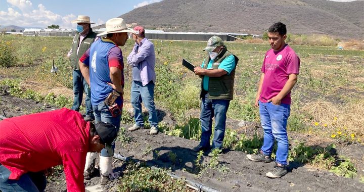 SUPERVISA GEM Y HACE INVENTARIO DE DAÑOS EN CULTIVOS E INVERNADEROS DE FLORES EN VILLA GUERRERO