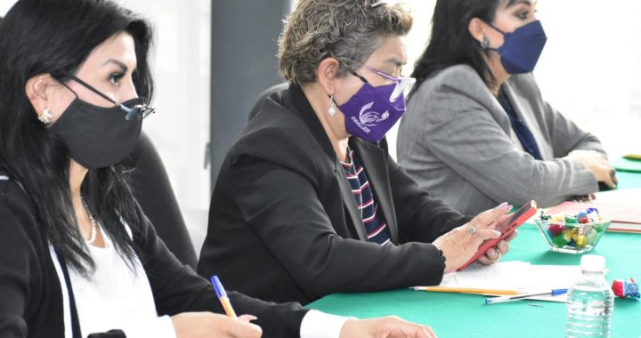REALIZA GEM PRIMERA REUNIÓN DE TRABAJO PARA ATENDER ALERTAS DE GÉNERO EN LA ENTIDAD