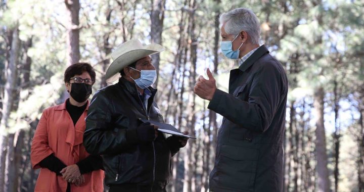 PONE EN MARCHA ALFREDO DEL MAZO CAMPAÑA DE ACOPIO DE ÁRBOLES DE NAVIDAD Y ENTREGA APOYOS FORESTALES POR MÁS DE 6 MDP