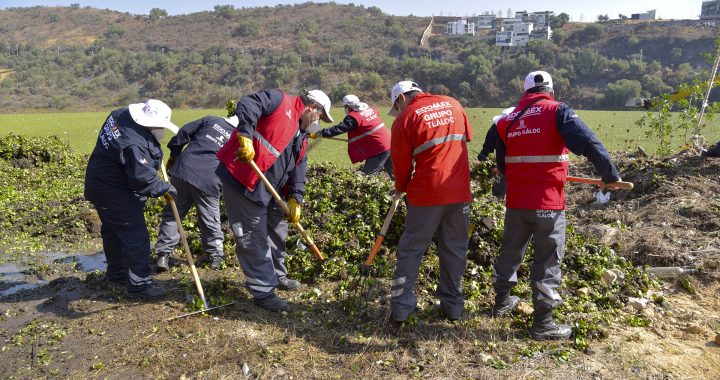 INICIA CAEM SANEAMIENTO DE LA PRESA MADÍN
