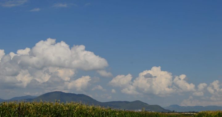 PUBLICAN PROGRAMA PARA LA ATENCIÓN DE CONTINGENCIAS AMBIENTALES ATMOSFÉRICAS EN ZONAS METROPOLITANAS DEL VALLE DE TOLUCA Y SANTIAGO TIANGUISTENCO