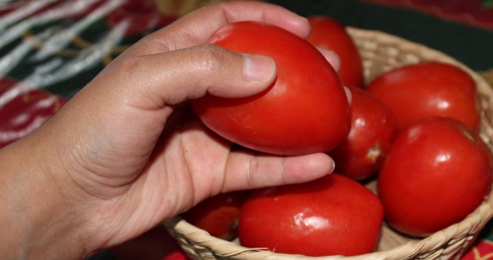 EMITE COPRISEM RECOMENDACIONES PARA EVITAR ENFERMEDADES DE TRANSMISIÓN ALIMENTARIA