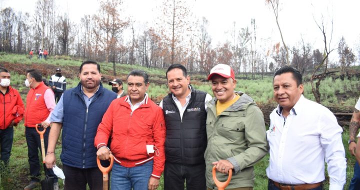 TLALNEPANTLA ENCABEZA LA JORNADA DE REFORESTACIÓN EN LA SIERRA DE GUADALUPE