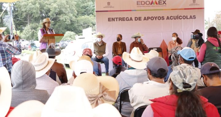 OCUPA JIQUIPILCO PRIMER LUGAR EN PRODUCCIÓN DE PECES EN LA ENTIDAD