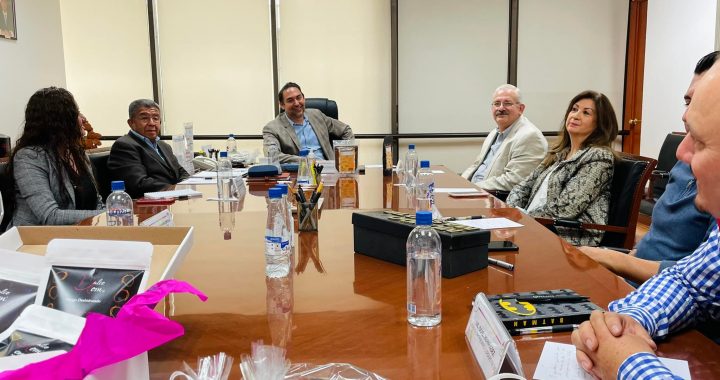 ES TAREA PERMANENTE DEL GEM PROMOVER EL DINAMISMO ECONÓMICO Y FOMENTAR LA REACTIVACIÓN ECONÓMICA