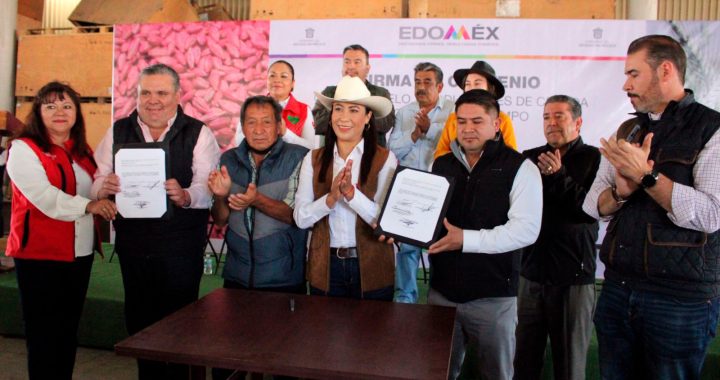 CONSOLIDA EDOMÉX CALIDAD Y PRODUCCIÓN DE CEBADA A NIVEL INTERNACIONAL