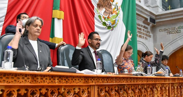 *Impulsan movilidad de personas mayores en el transporte público*
