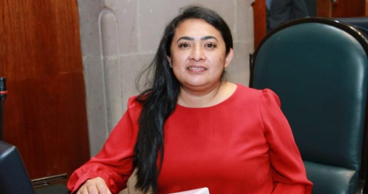 Pide Carmen de la Rosa indagar centros contra adicciones en Edomex