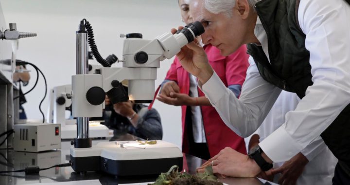 OFRECEN LABORATORIOS DEL ICAMEX CONOCIMIENTO Y TECNOLOGÍA PARA MEJORAR EL TRABAJO DE LOS  PRODUCTORES