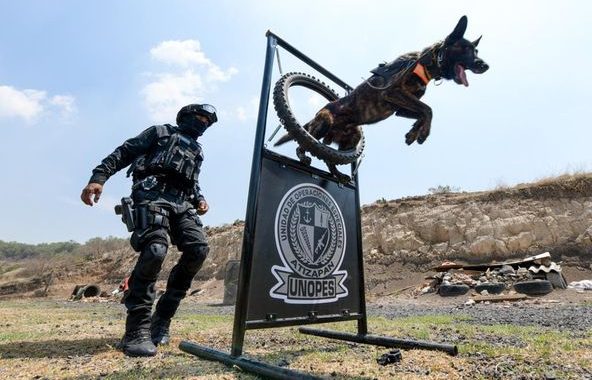 FORTALECEN LA UNIDAD K-9 DE LA POLICÍA DE ATIZAPÁN DE ZARAGOZA