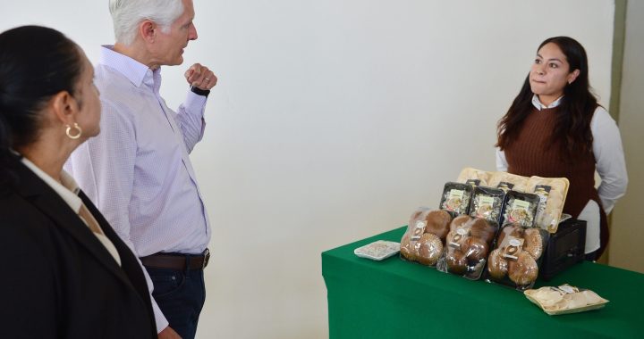 FORTALECEN SU PREPARACIÓN ALUMNAS Y ALUMNOS DE LA UNIVERSIDAD TECNOLÓGICA DE TECÁMAC CON ALBERCA SEMIOLÍMPICA Y GIMNASIO