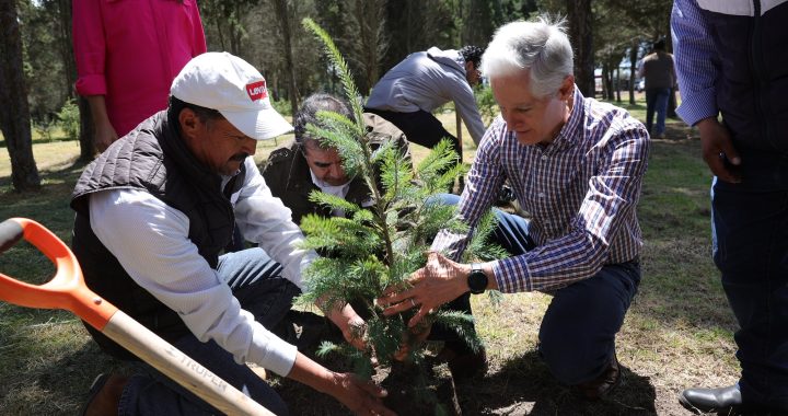 PRESENTA ALFREDO DEL MAZO EL INVENTARIO ESTATAL FORESTAL Y DE SUELOS 2022 QUE MUESTRA EL INCREMENTO DE 15 MIL HECTÁREAS FORESTALES EN EDOMÉX