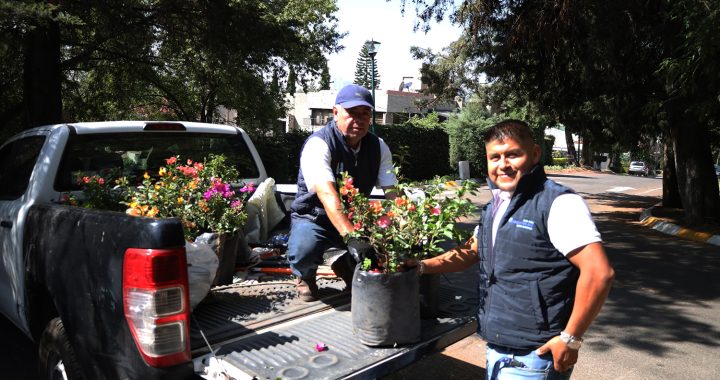 INICIAN JORNADAS DE REFORESTACIÓN EN HUIXQUILUCAN