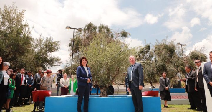 Develan placa y siembran olivo en Tecámac por 70 años de relaciones diplomáticas México-Israel