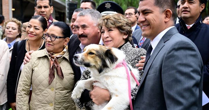 Incorpora la Gobernadora Delfina Gómez la prevención del maltrato animal a la política de seguridad estatal