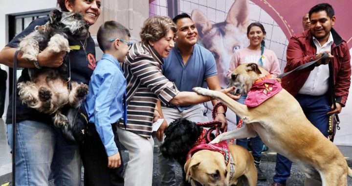 Lanza Gobernadora Delfina Gómez programa de rescate de animales de compañía en situación de calle en el Estado de México
