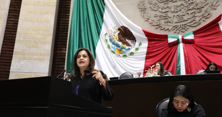 INADMISIBLE LA SITUACIÓN DE INSEGURIDAD EN EL PAÍS: ANA LILIA HERRERA