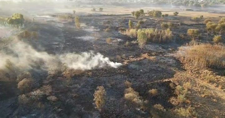  VUELVEN A CONTROLAR INCENDIO FORESTAL EN VASO REGULADOR EL CRISTO, EN NAUCALPAN