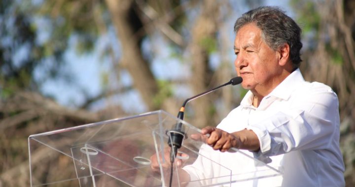 CON O SIN ALIADOS, MORENA GANA SI NO HAY COALICIÓN: HIGINIO