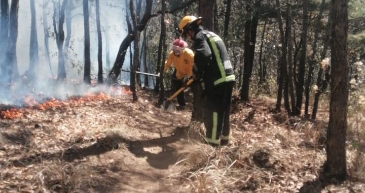 RECONOCE ALCALDE LA LABOR DE LOS ELEMENTOS DE LA COORDINACIÓN DE PROTECCIÓN CIVIL Y BOMBEROS