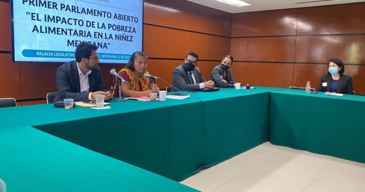 Canasta Alimentaria: la esperanza de una niñez sana.