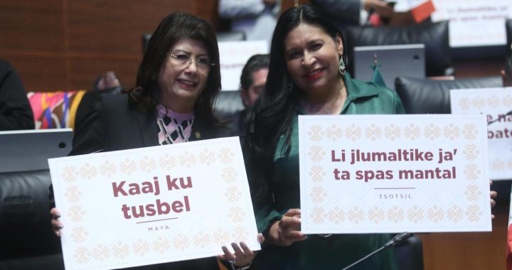 LA REFORMA EN MATERIA DE DERECHOS INDÍGENAS, GRAN PASO PARA SALDAR DEUDA HISTÓRICA: MARIELA GUTIÉRREZ