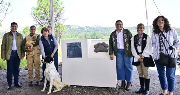 Gobernadora Delfina Gómez Álvarez coloca la primera piedra del Centro Integral de Atención a Pequeñas Especies en Toluca